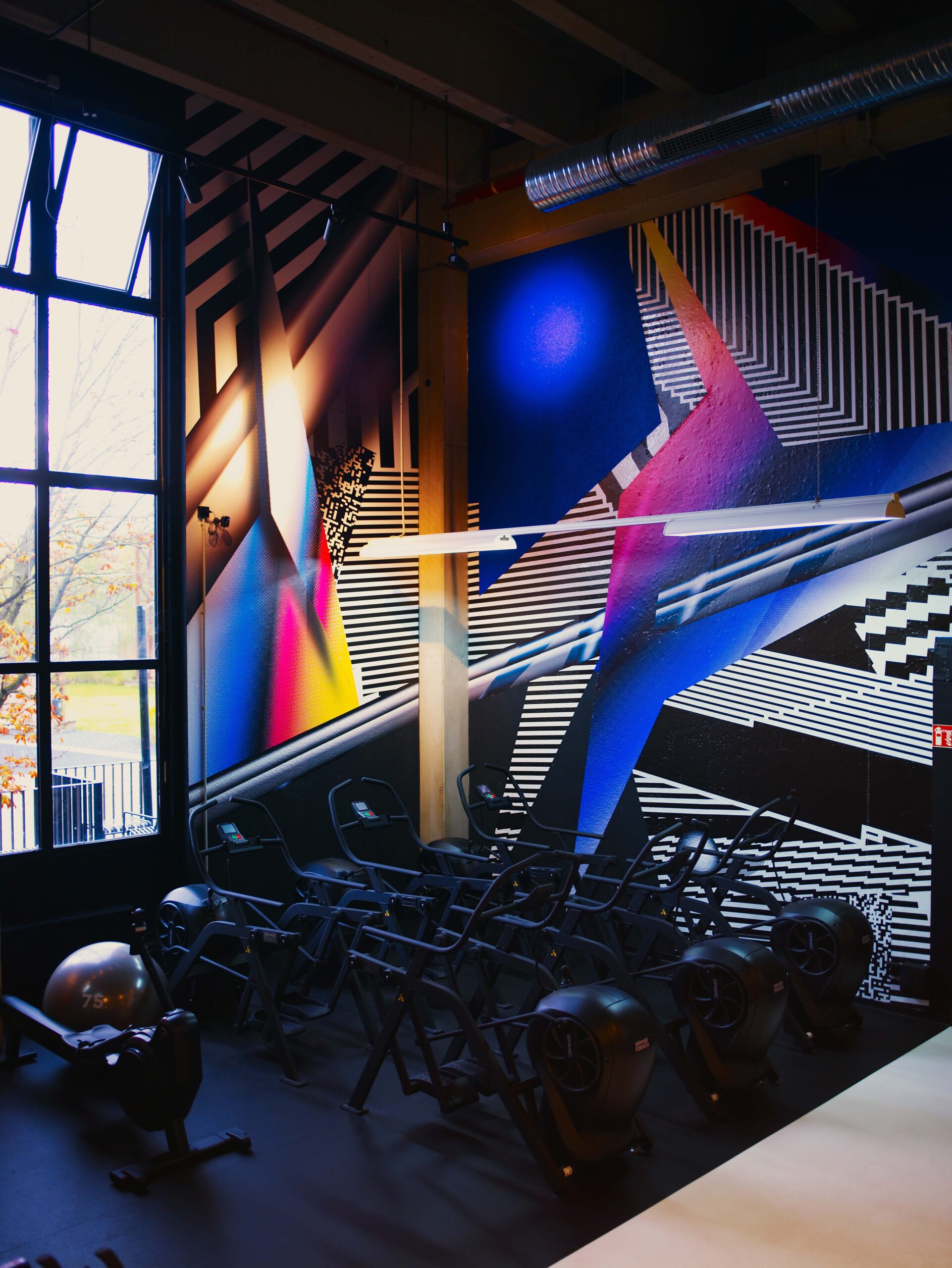 Fitnessstudio Ludwigsburg, Fitness Ludwigsburg, Fitnessclub Ludwigsburg, Fußball Ludwigsburg, Basketball Ludwigsburg, Badminton Ludwigsburg, Powerlifting Ludwigsburg, Powerlifting Ludwigsburg