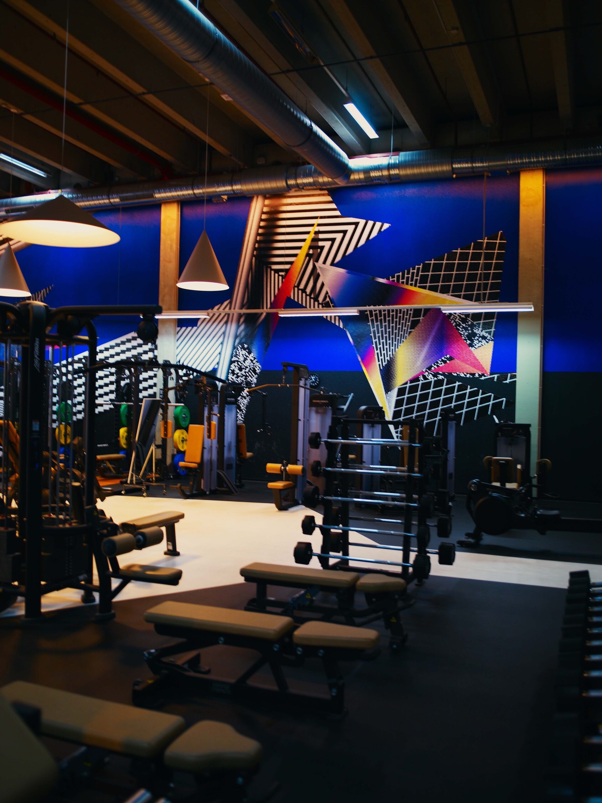 Fitnessstudio Ludwigsburg, Fitness Ludwigsburg, Fitnessclub Ludwigsburg, Fußball Ludwigsburg, Basketball Ludwigsburg, Badminton Ludwigsburg, Powerlifting Ludwigsburg, Powerlifting Ludwigsburg