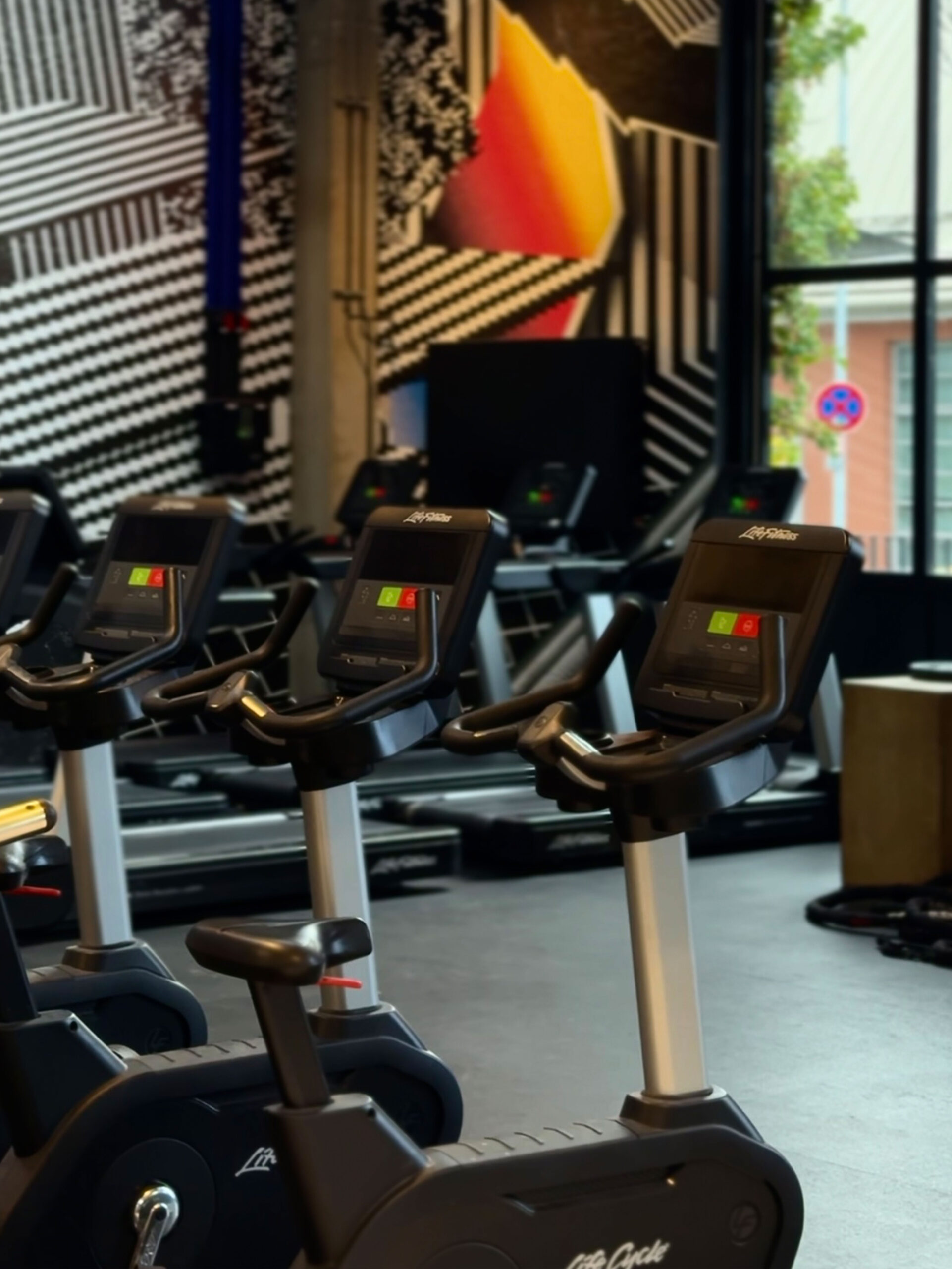 Fitnessstudio Ludwigsburg, Fitness Ludwigsburg, Fitnessclub Ludwigsburg, Fußball Ludwigsburg, Basketball Ludwigsburg, Badminton Ludwigsburg, Powerlifting Ludwigsburg, Powerlifting Ludwigsburg