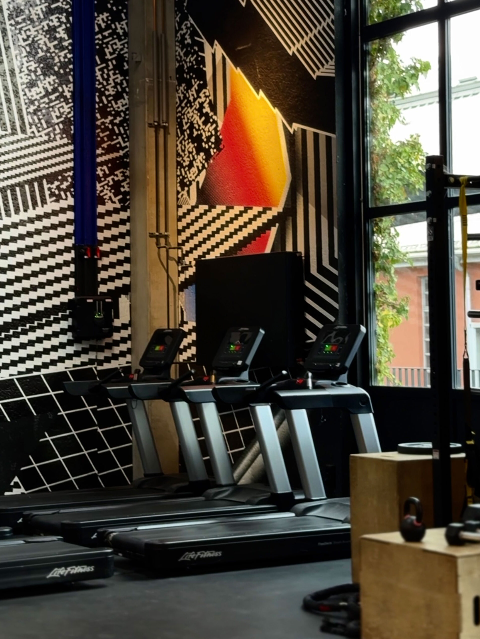 Fitnessstudio Ludwigsburg, Fitness Ludwigsburg, Fitnessclub Ludwigsburg, Fußball Ludwigsburg, Basketball Ludwigsburg, Badminton Ludwigsburg, Powerlifting Ludwigsburg, Powerlifting Ludwigsburg