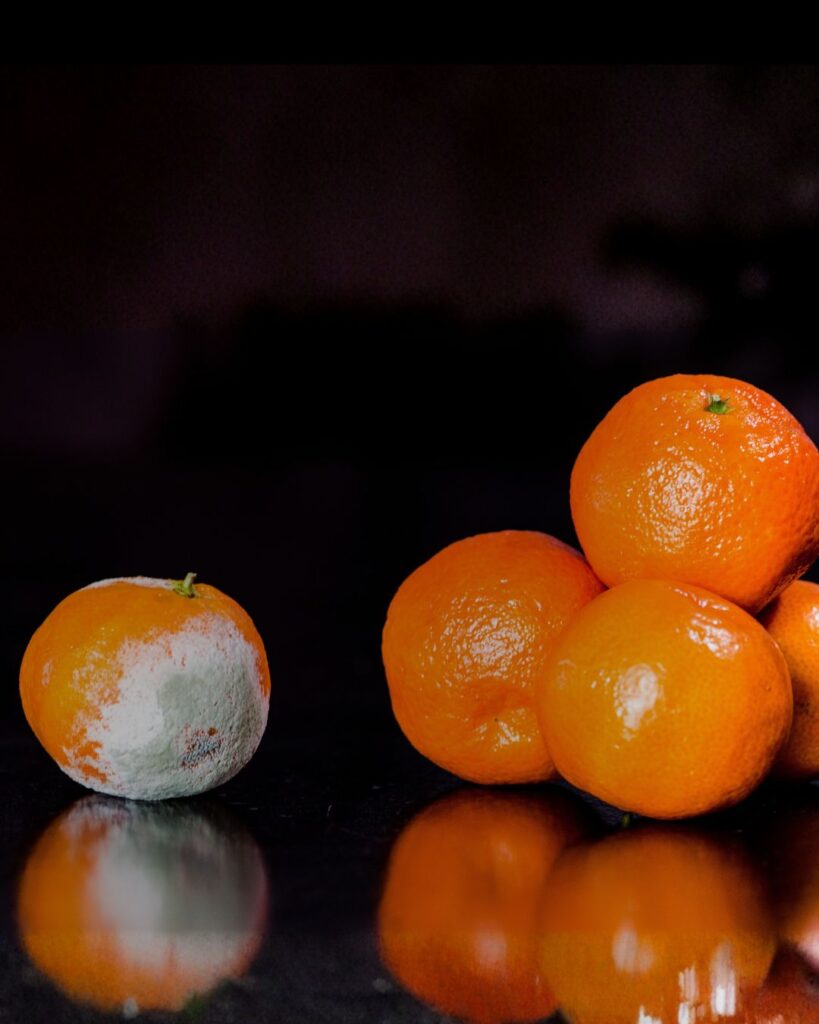 Umfeld und Gesundheit beeinflusst Fitness und Wohlbefinden. Schau dir unsere Fitness Classes in Ludwigsburg an.